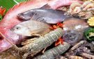 Cách mua hải sản tươi ngon và nhận biết hải sản ủ ướp bằng chất cấm